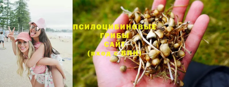 Псилоцибиновые грибы Magic Shrooms  наркота  Долинск 